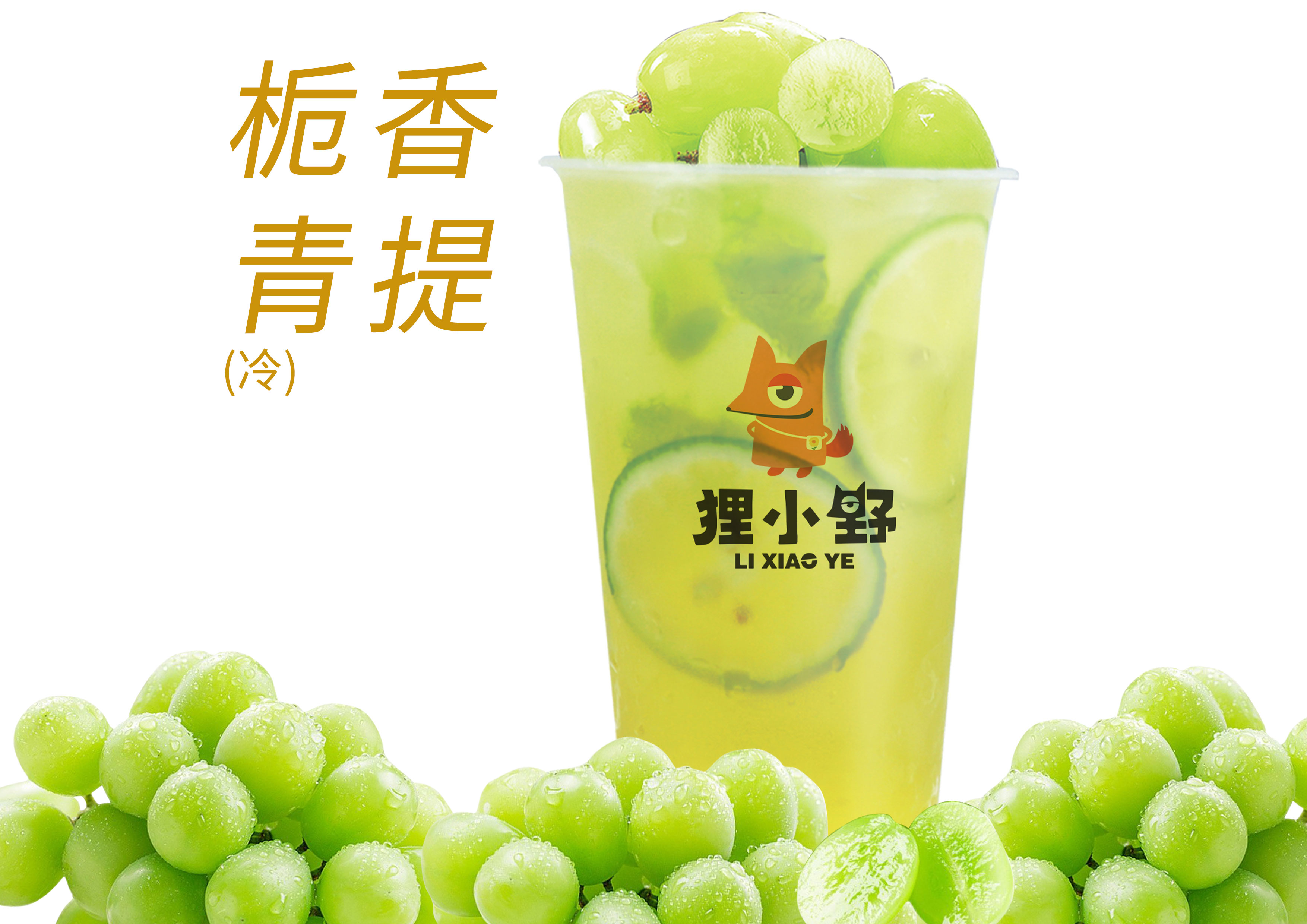 栀香青提