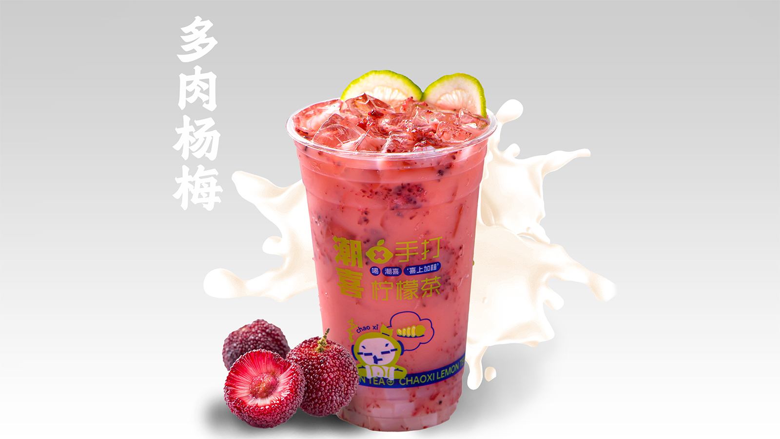 多肉杨梅乳酸菌