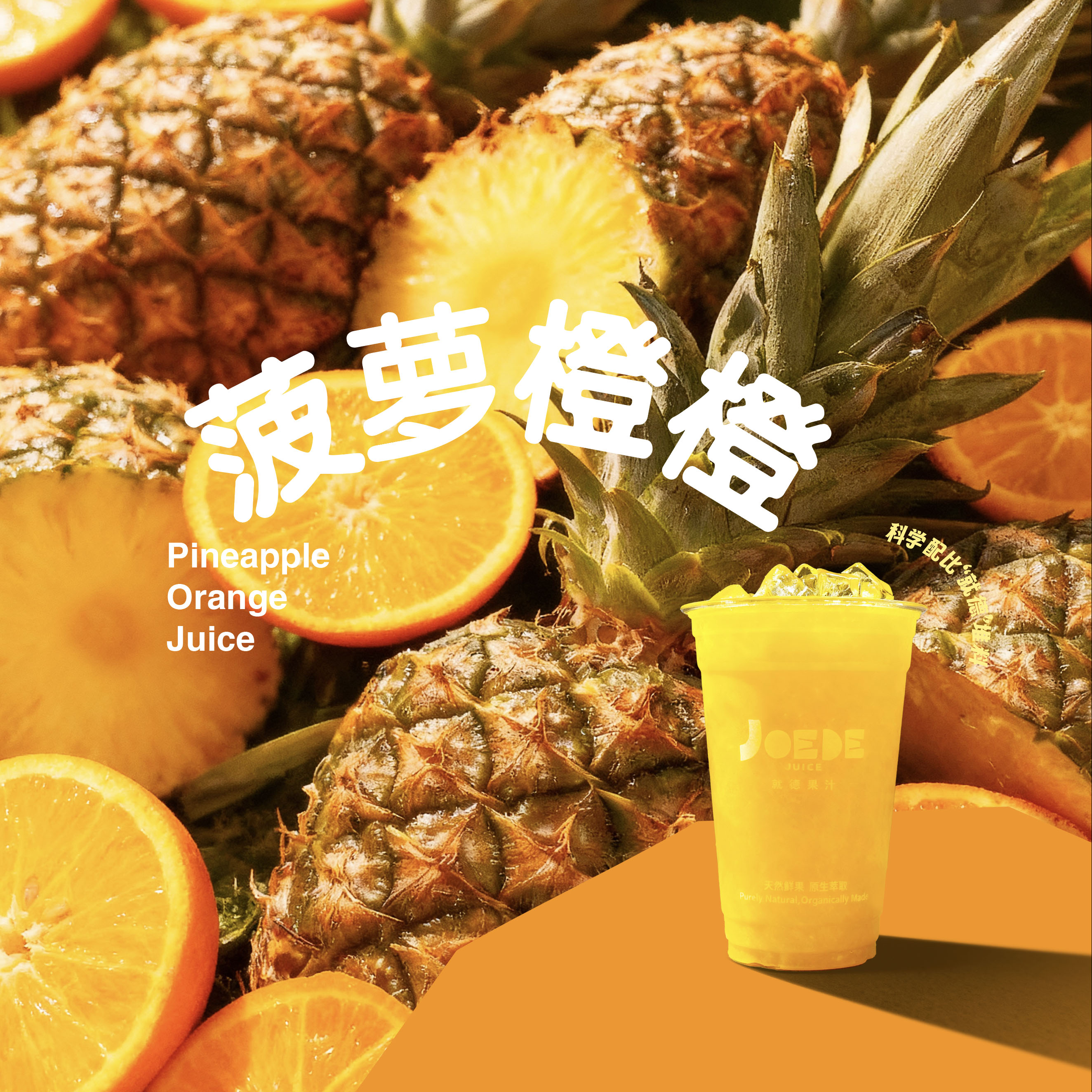 【多肉菠萝橙橙】