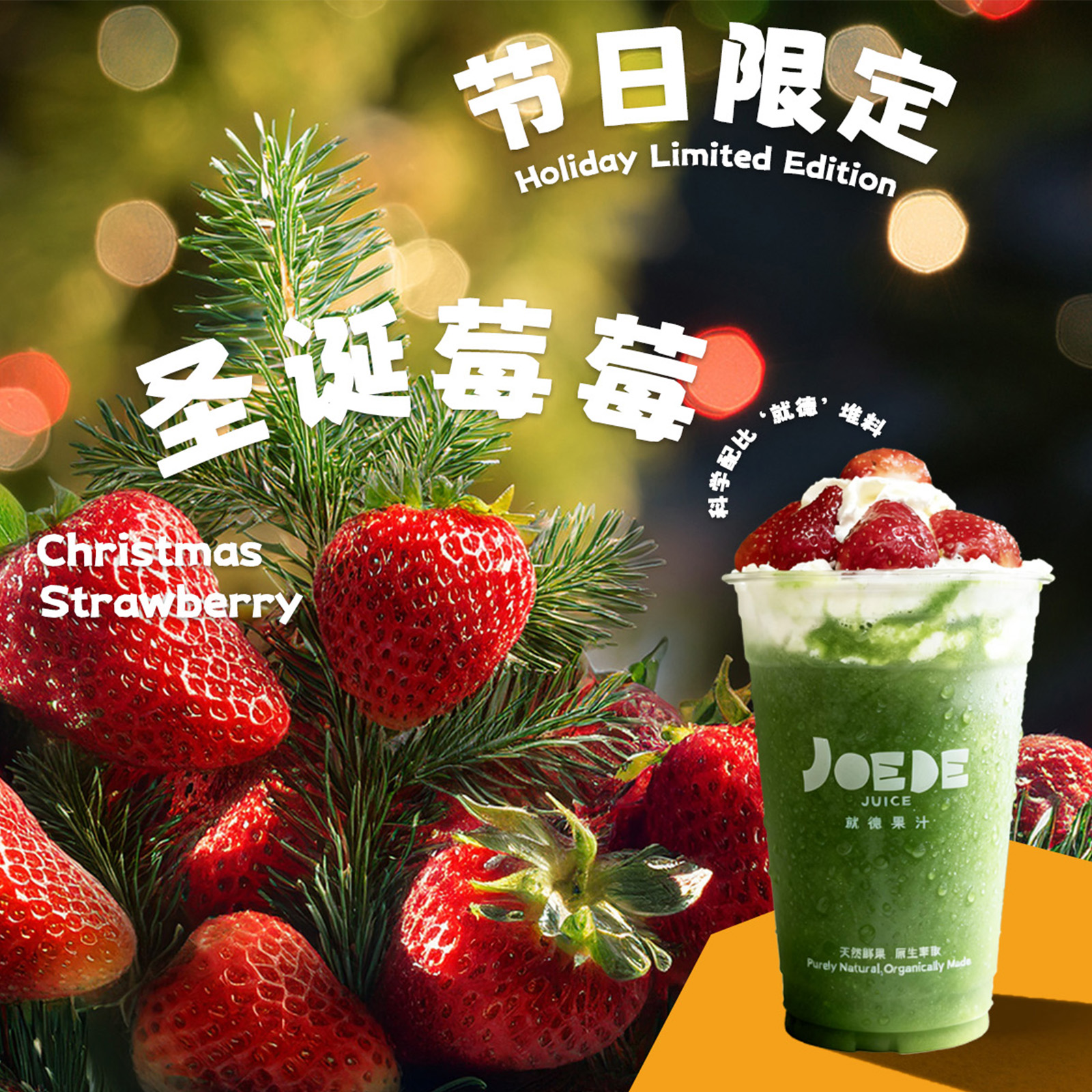 圣诞限定【圣诞莓莓】