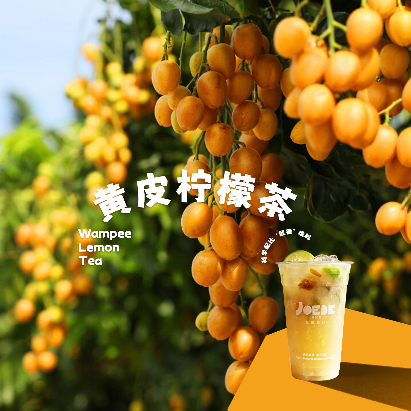 【黄皮柠檬茶】季节限定品