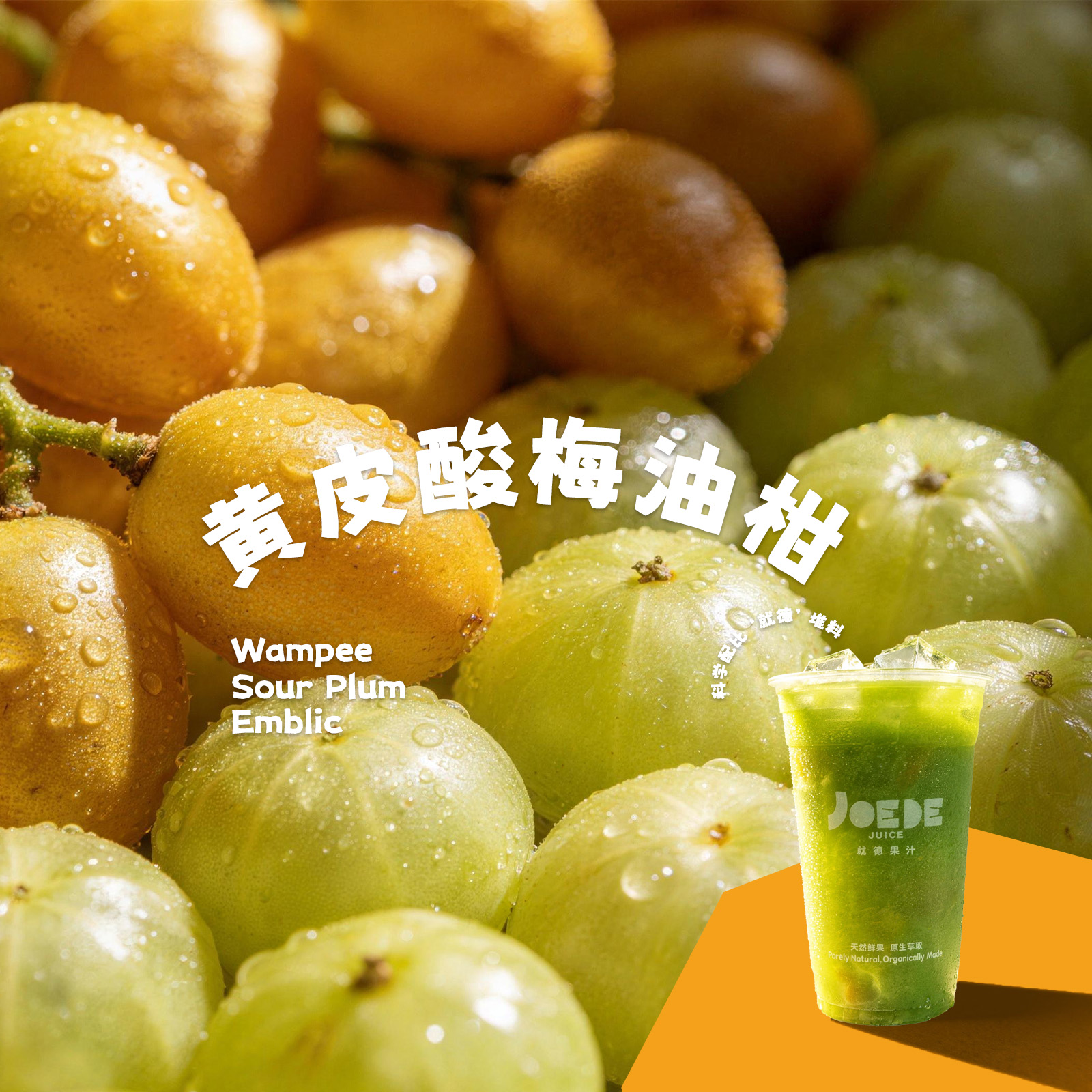 【黄皮酸梅油柑】季节限定品